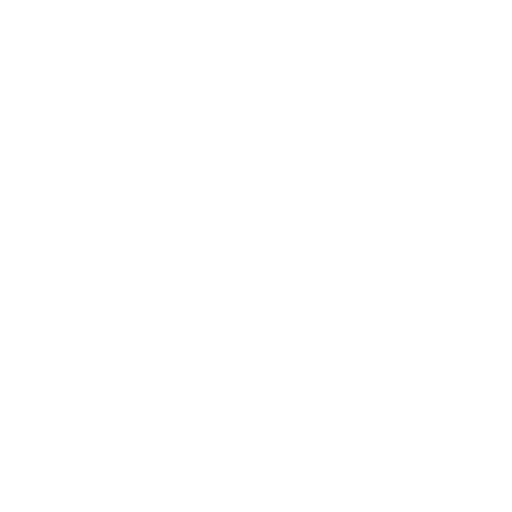 snad usa foundation logo